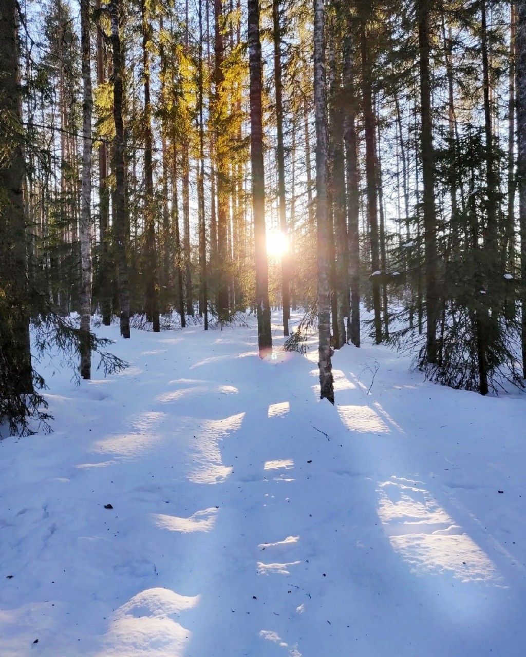 Виктор in LOOKY. #весна
#карелия,#karelia,#karjala,#живувкарелии,#веснавпетрозаводске
#petroskoi,#petrozavodsk,#петрозаводск,#природа,#природакарелии,#photonature,#naturephoto
#looky,#looky_official,#LOOKY_контент,#looky_you,#you,#looky_топ. ❄️☀️Карелия☀️❄️
#вес...