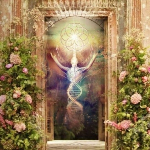 Nurak Ibinski в LOOKY. #Ascension-Focus,#Focus. #Ascension-Focus #Fo...