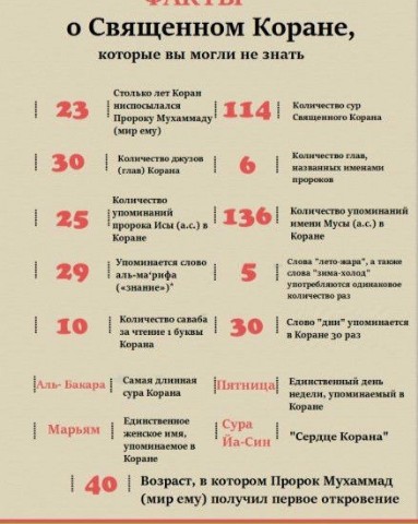 Горцы в Исламе in LOOKY. . 