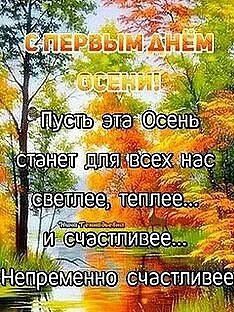 Looky_177821726465292