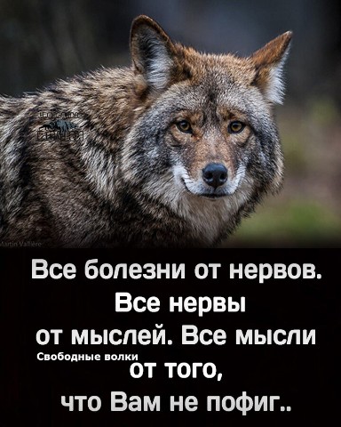 Looky_1695643157649 в LOOKY. . 