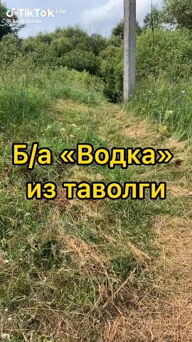 amazonka5ul в LOOKY. #водка,#здоровье,#зож. Вот, оказывается, чт...