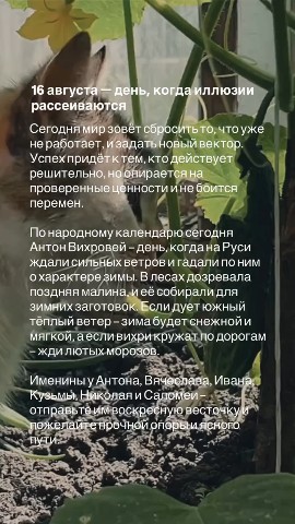 valkarat в LOOKY. . Всем добра!