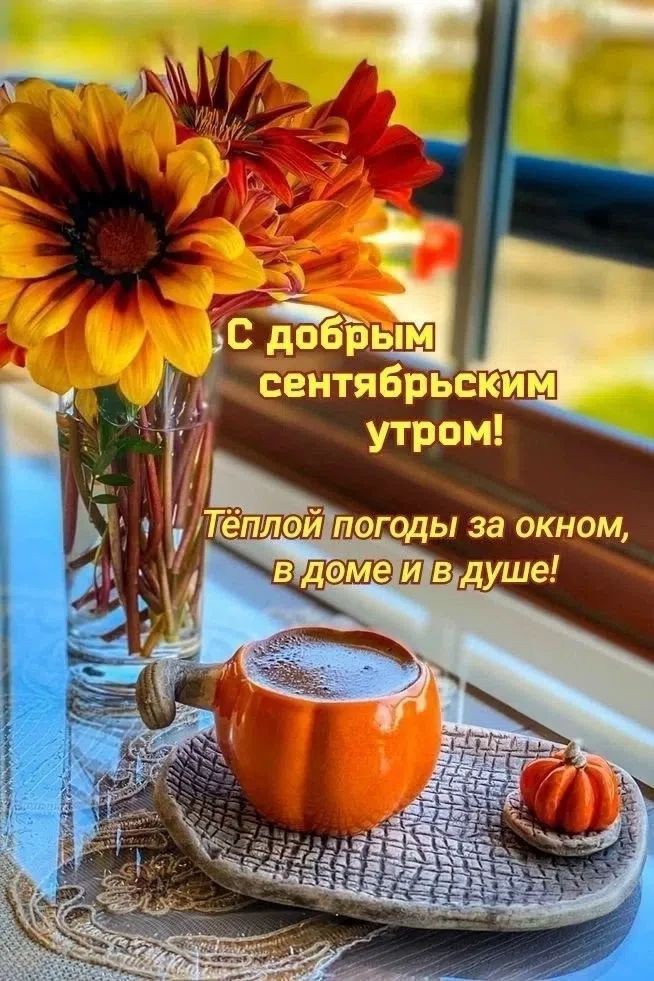 Looky_177821726465292