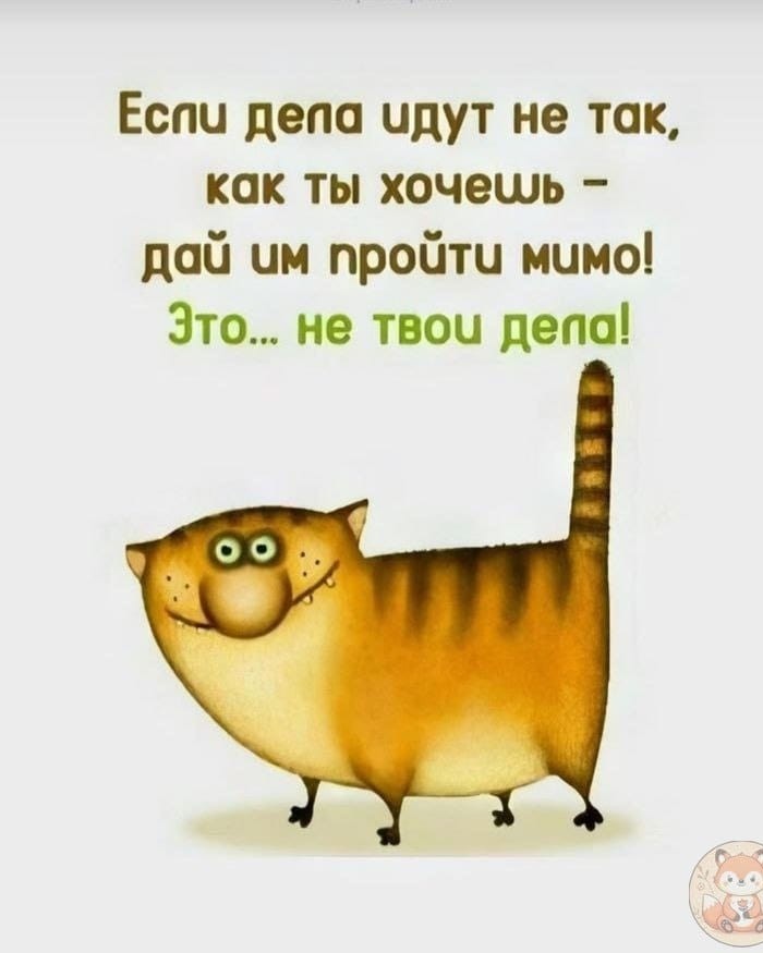 Looky_176864482518066