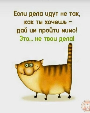 Looky_176864482518066 в LOOKY. . 