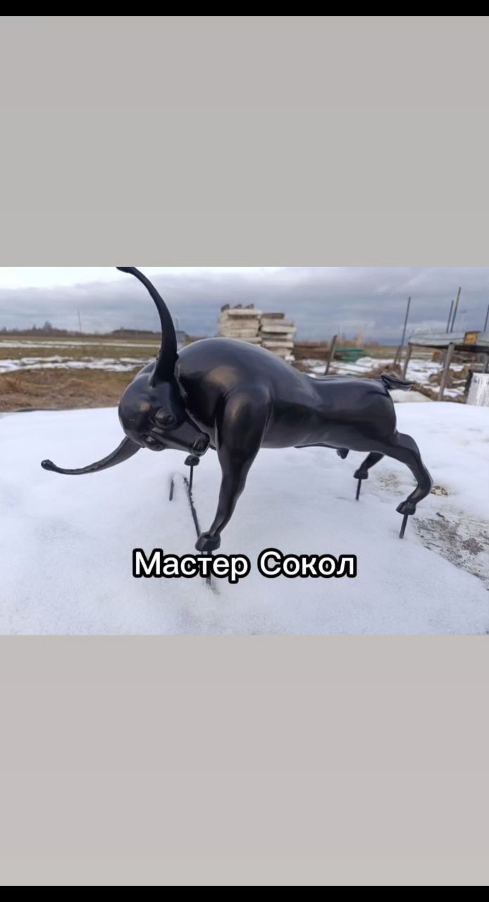 mastersokol в LOOKY. . 
