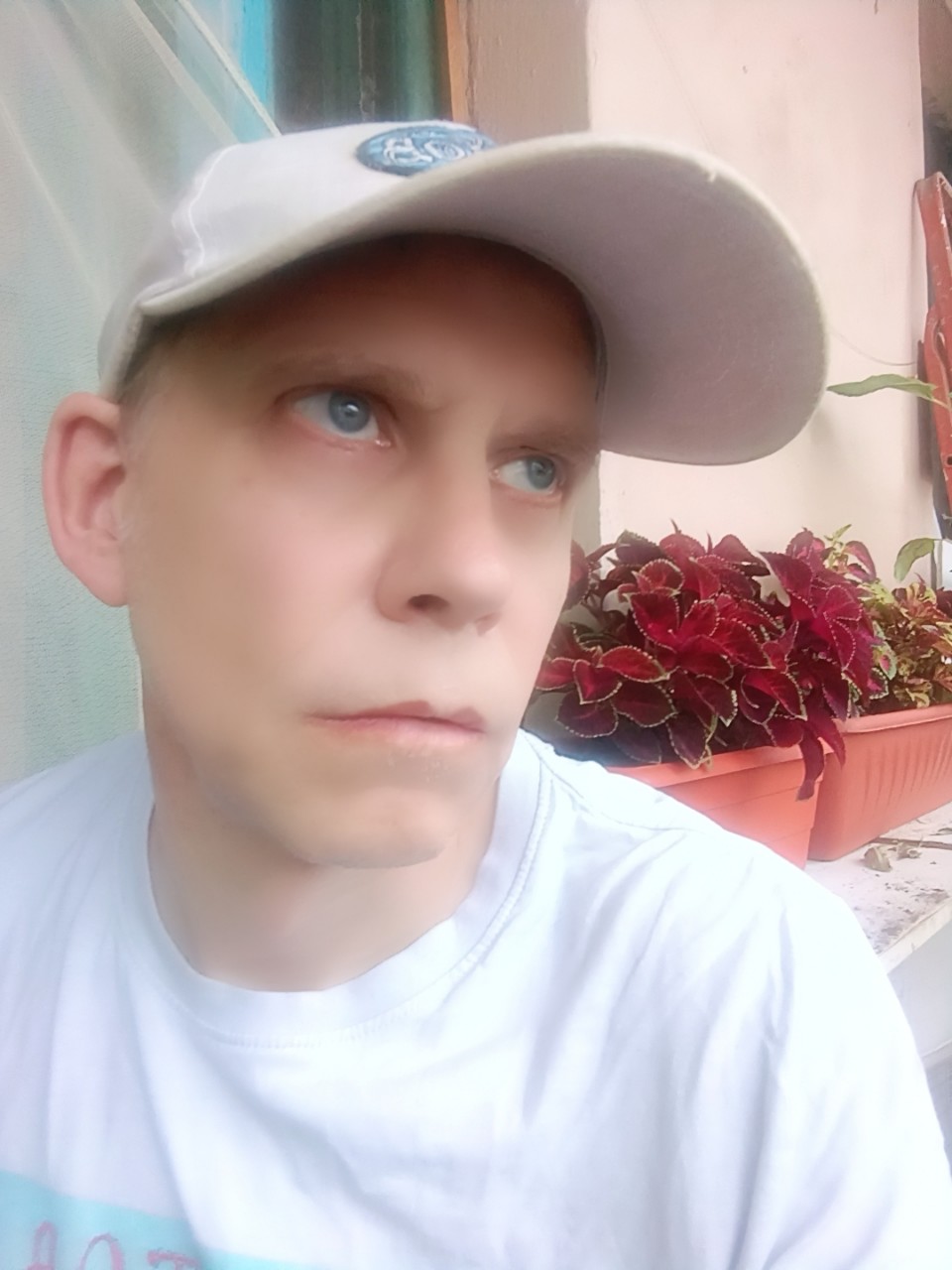  в LOOKY — публикация