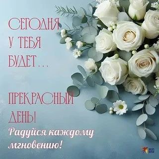 Сириус в LOOKY — публикация