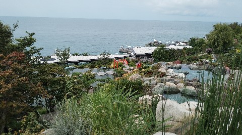 crimean_malaya в LOOKY. . Японский сад . Крым ...