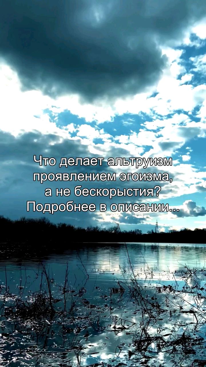 inna_areels в LOOKY. #альтруизм,#эгоизм,#мотивы,#психология,#осознанность. Ты считаешь, что аль...