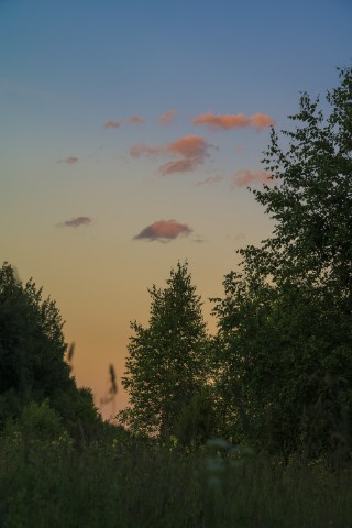 poboruev_landscape в LOOKY. #пейзаж,#закат,#рассвет,#утро,#вечер,#небо,#облака,#лес,#лето,#градиент,#Россия,#Подмосковье,#фотоприроды,#природноефото,#фотоманитнас. Любите ли вы закаты ...