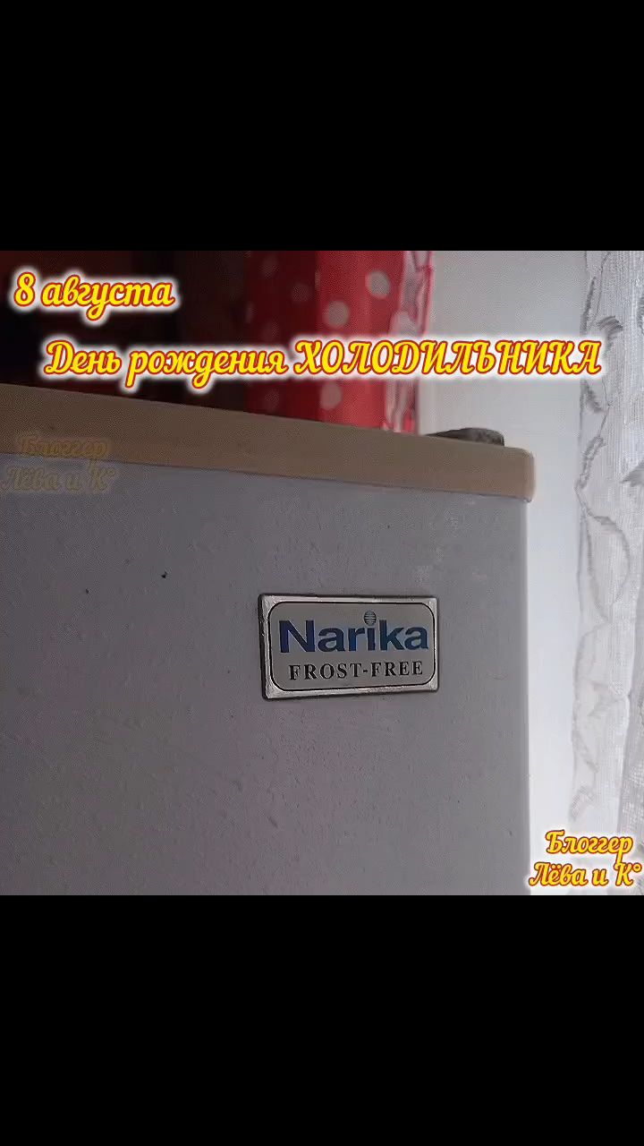 pserge61 в LOOKY. #БлоггерЛёваиК,#ХолодильникПрайда,#рыжийкот,#ориентал,#сфинкс,#чёрныйкот,#норвежскийлеснойкот,#русскоевропейскаялайка,#котики,#мыизкотограма,#RefrigeratorBirthday,#RedCat,#Oriental,#Sphinx,#NorwegianForestCat,#Laika. <<ДЕНЬ РОЖДЕНИЯ ХОЛО...