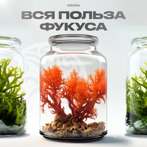 lilirlv в LOOKY. #фукус,#здоровье,#водоросли. Мы собрали всю польз...