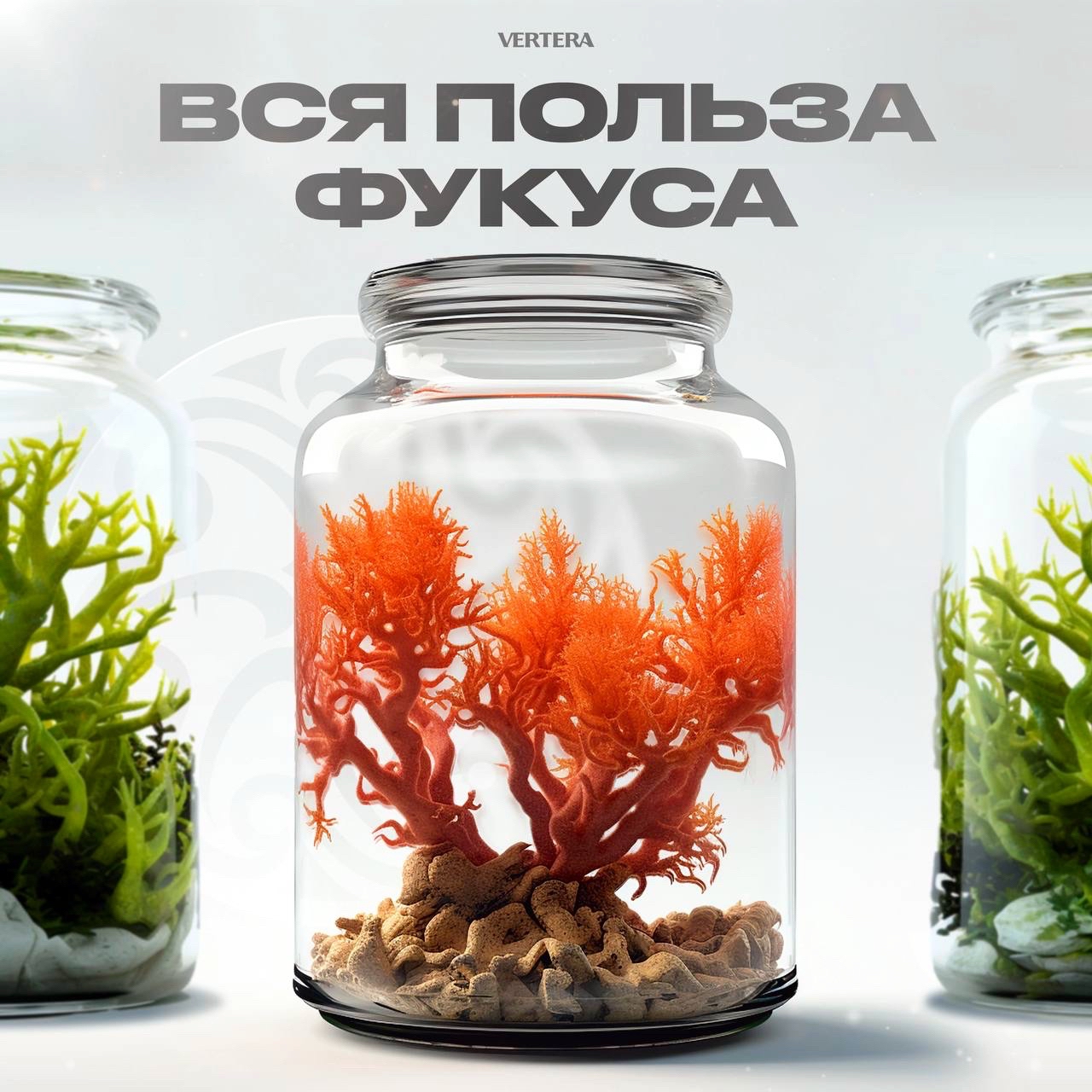 Мы собрали всю пользу фукуса в наших продуктах!🌿 
 
Количество полезных веществ в морских водорослях значительно превышает содержание аналогичных веществ в растениях на суше! Именно поэтому мы выбираем ламинарию и фукус в качестве основы всей продукции VERTERA. 
 
Но сегодня уделим особое внимание именно фукусу. Что это за водоросль и что за пользу он приносит организму человека? 
 
🌊Фукус - уникальная водоросль, которая оказывает многогранное действие на организм и содержит: 
 
-26 микро- и макроэлементов 
-22 жирные кислоты и их производные 
-21 аминокислоту 
-17 углеводов 
-14 витаминов 
-8 полифенолов 
-4 каротиноида 
-3 стеролы 
-2 пищевых волокон 
-1 азотистое вещество 
 
VERTERA выбирает только лучшее для вас! ☀

#фукус
#здоровье
#водоросли