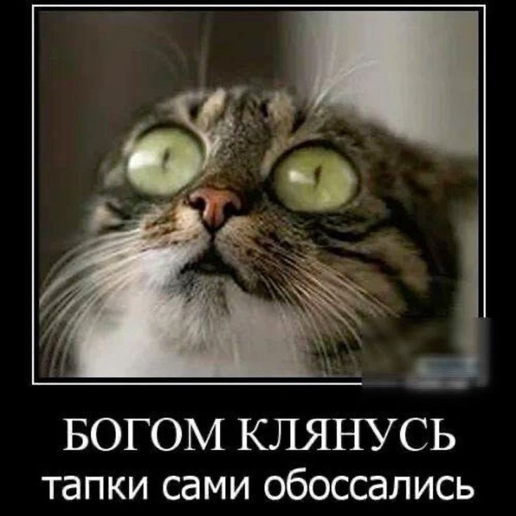 Petroviz в LOOKY — публикация