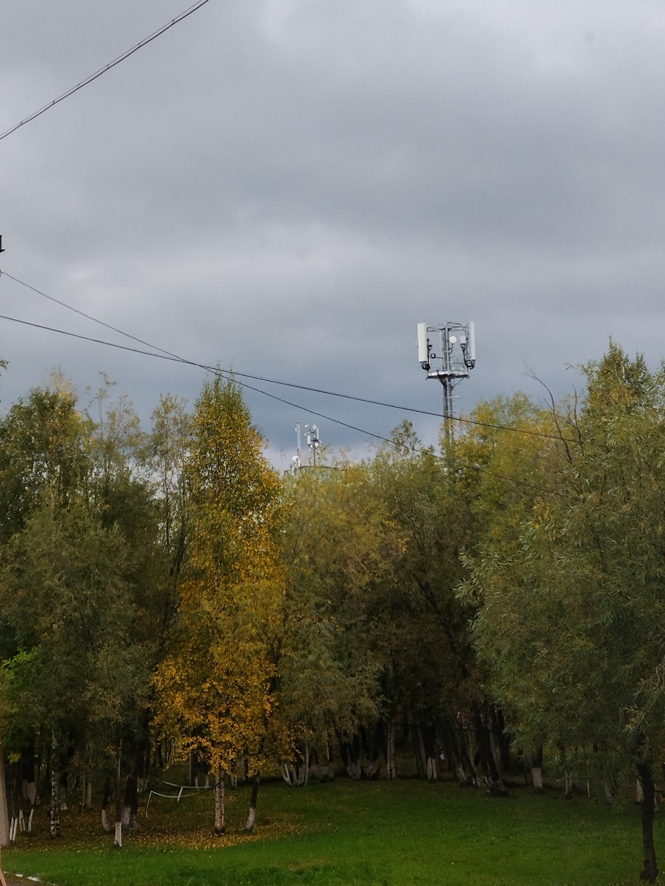 Холод, слякоть - это осень🍁🍂 бежит к нам...