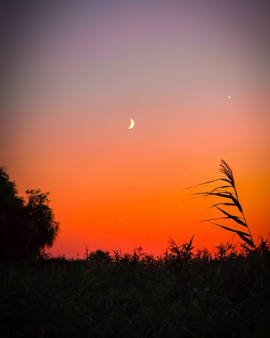 katrinantares в LOOKY. . Летний закат )

[#пр...