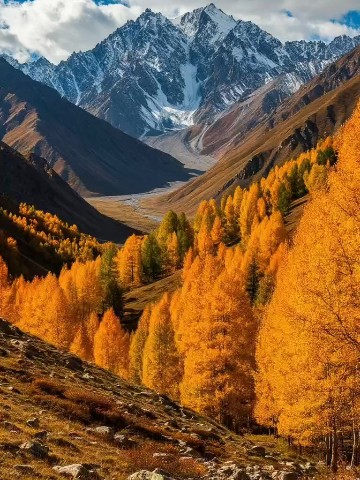 Ольга