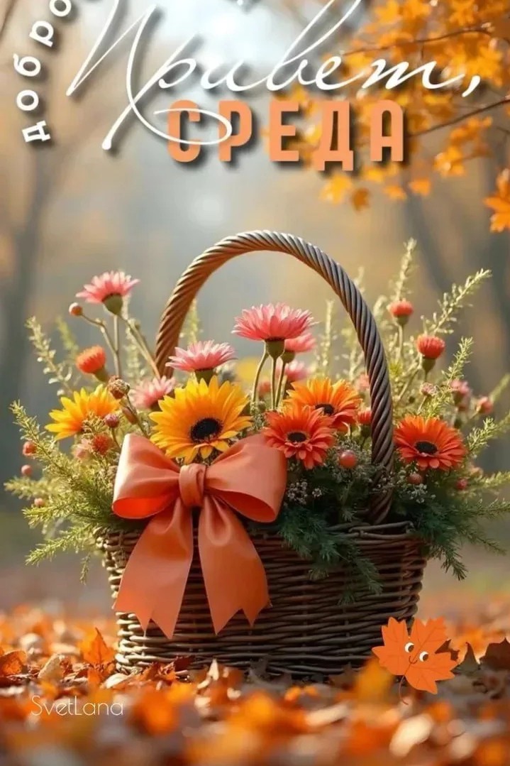 Сириус в LOOKY — публикация