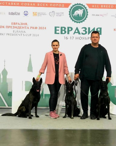 voitinas в LOOKY. #voitinasalumnus,#хердер,#хердерыроссии,#голландскаяовчарка,#щенкиголландскойовчарки,#евразия2024,#РКФ,#выставкасобак,#Eurasiadogshow2024,#рабочиесобаки,#herdernashakrashe,#herderugroza,#herder,#bergerhollandais,#dutch_shepherd,#dutchshepherd,#shepherd,#knpvdogs,#mondio,#mondioring,#policedog,#workingdog,#protectiondog,#saveourbreeds. Пост гордости😎
🏆ЕВ...