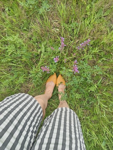 LushnikLena в LOOKY. #моёлето,#прогулка. Разве летний день мо...