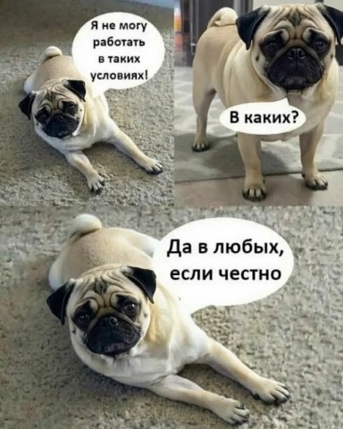 Looky_178336728502981 в LOOKY. . 