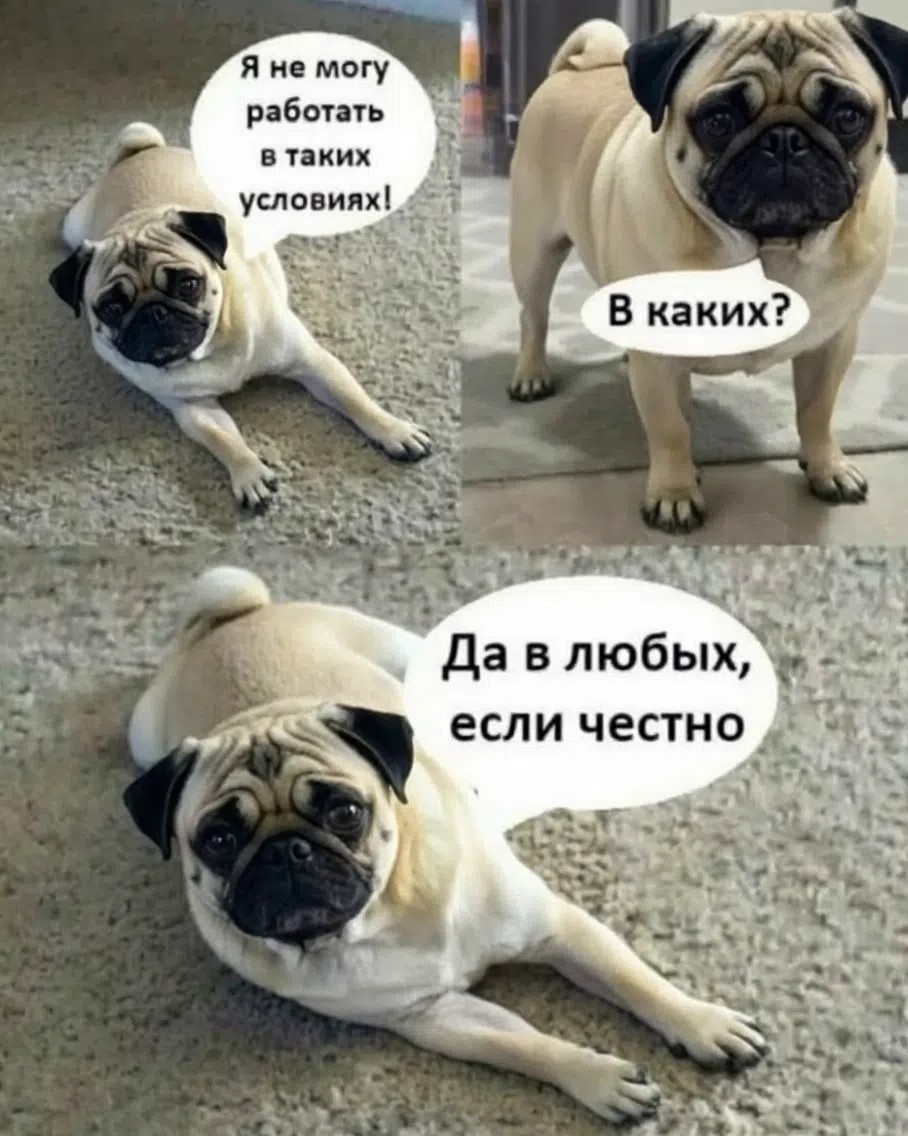 Светик Семицветик в LOOKY — публикация