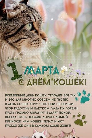 Пушистый сон в LOOKY. . С праздником! С весн...