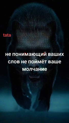 Looky_178558468160962 в LOOKY. . 