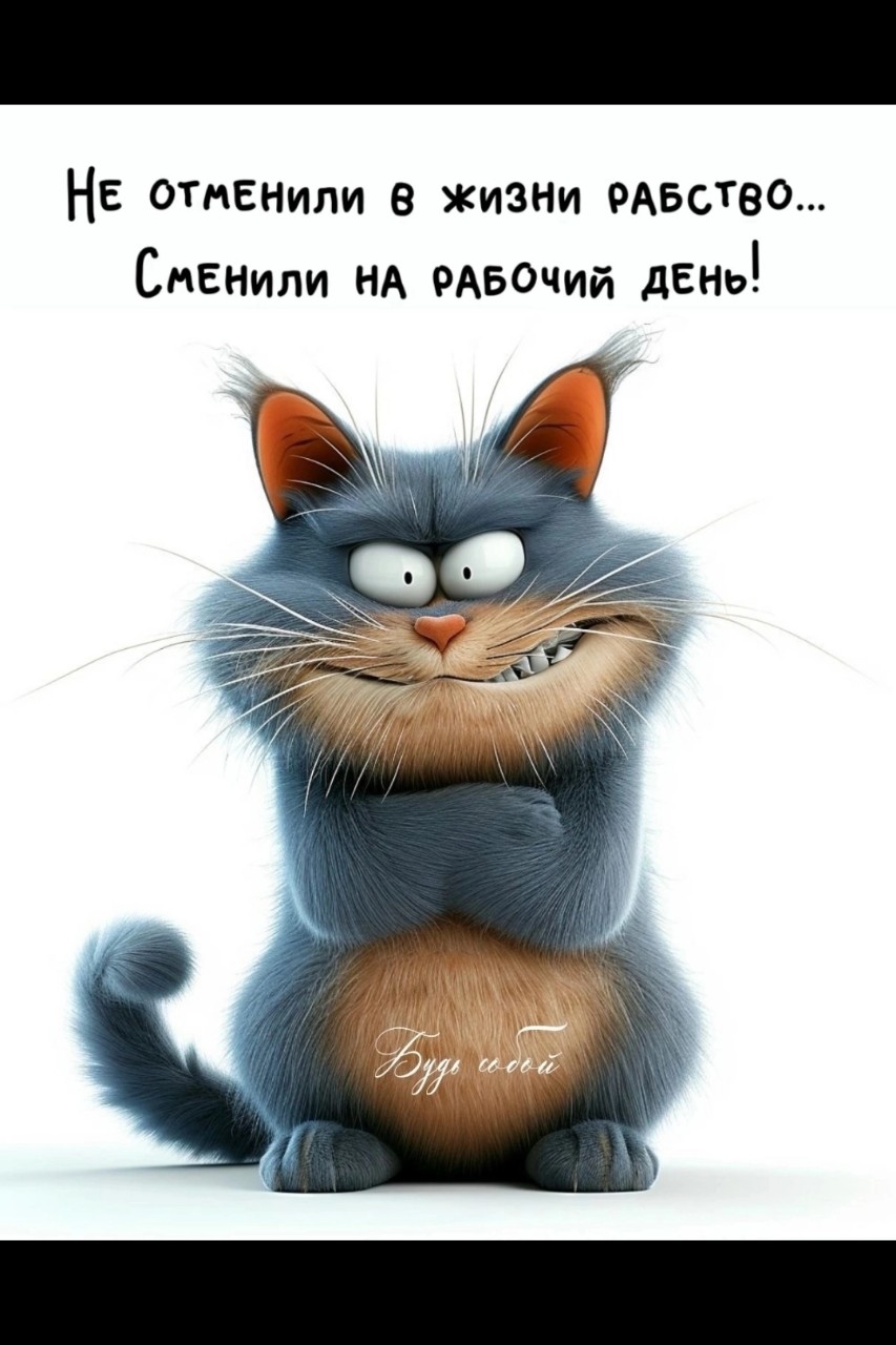 Алекс1958 в LOOKY — публикация