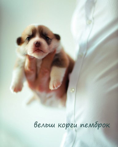 Ната Ли в LOOKY. . Это не муси- пуси, э...