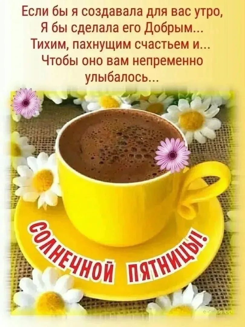 Сириус в LOOKY — публикация