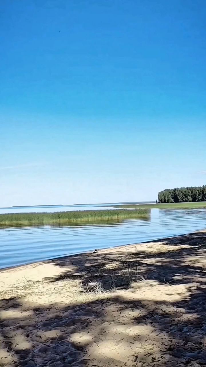 Виктор in LOOKY
