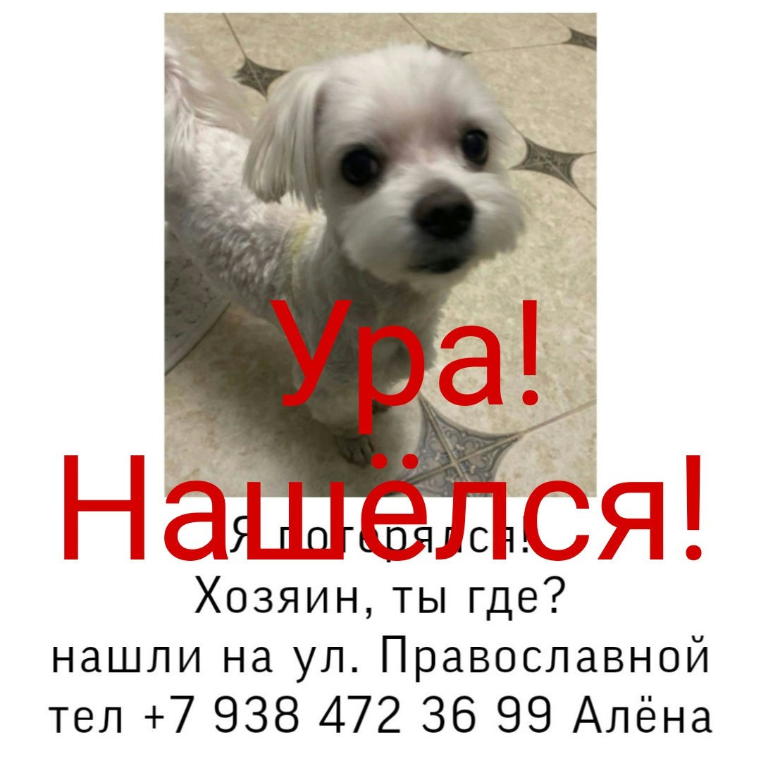 Looky_1676317000260