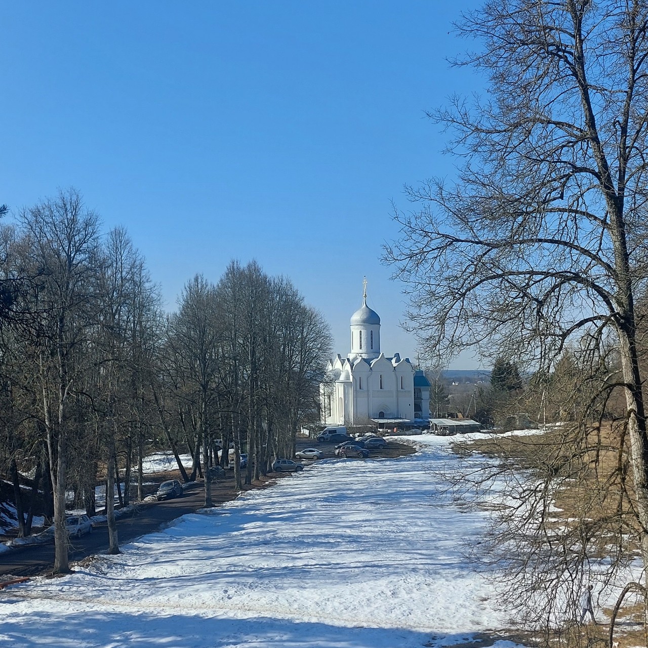 Галина Венн в LOOKY — фото 3