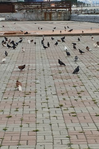 vanaaaa7777 в LOOKY. . 