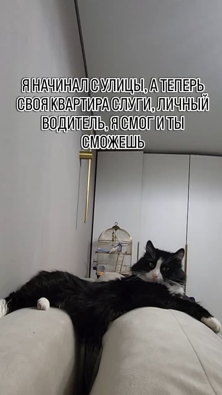 evgehatpohinate9ps1k в LOOKY. . И ты сможешь! 🫶
Кош...
