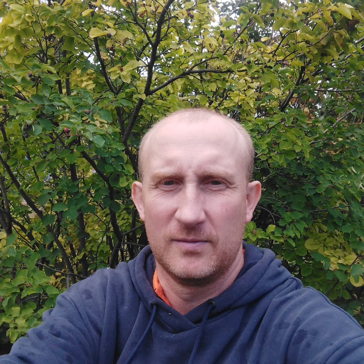 Владимир Брешко в LOOKY — публикация
