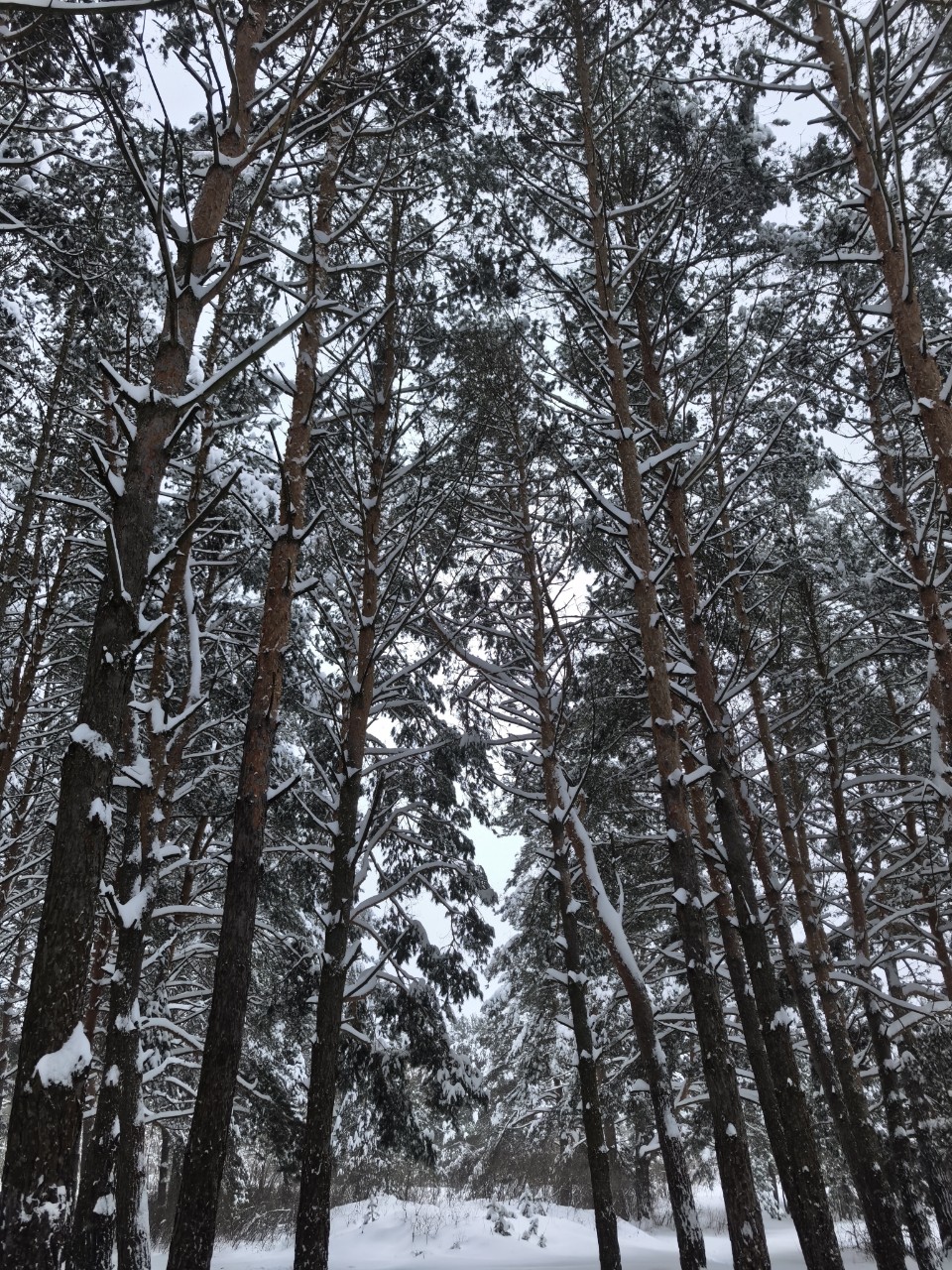 Юрий Эл в LOOKY — фото 3