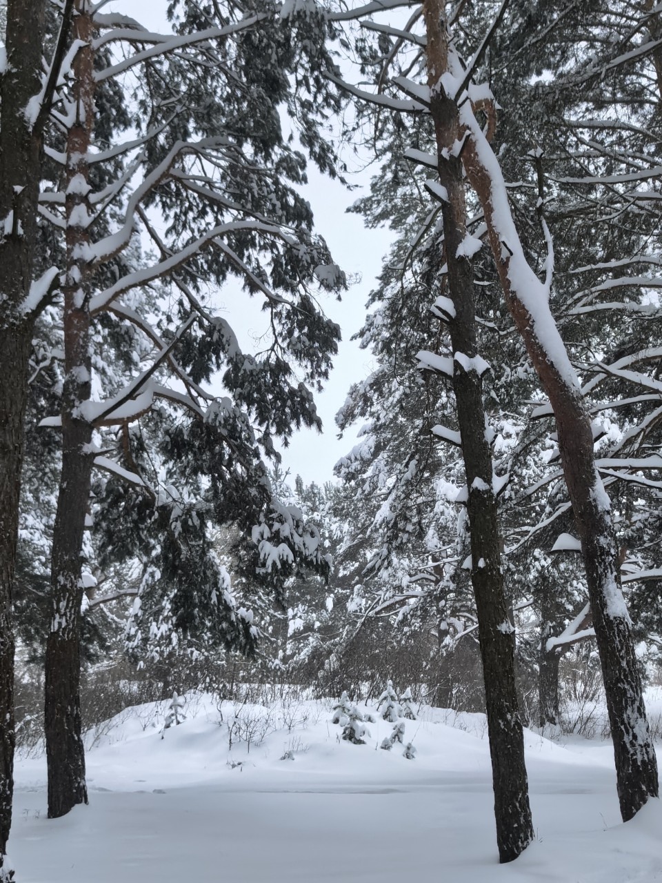 Юрий Эл в LOOKY — фото 2