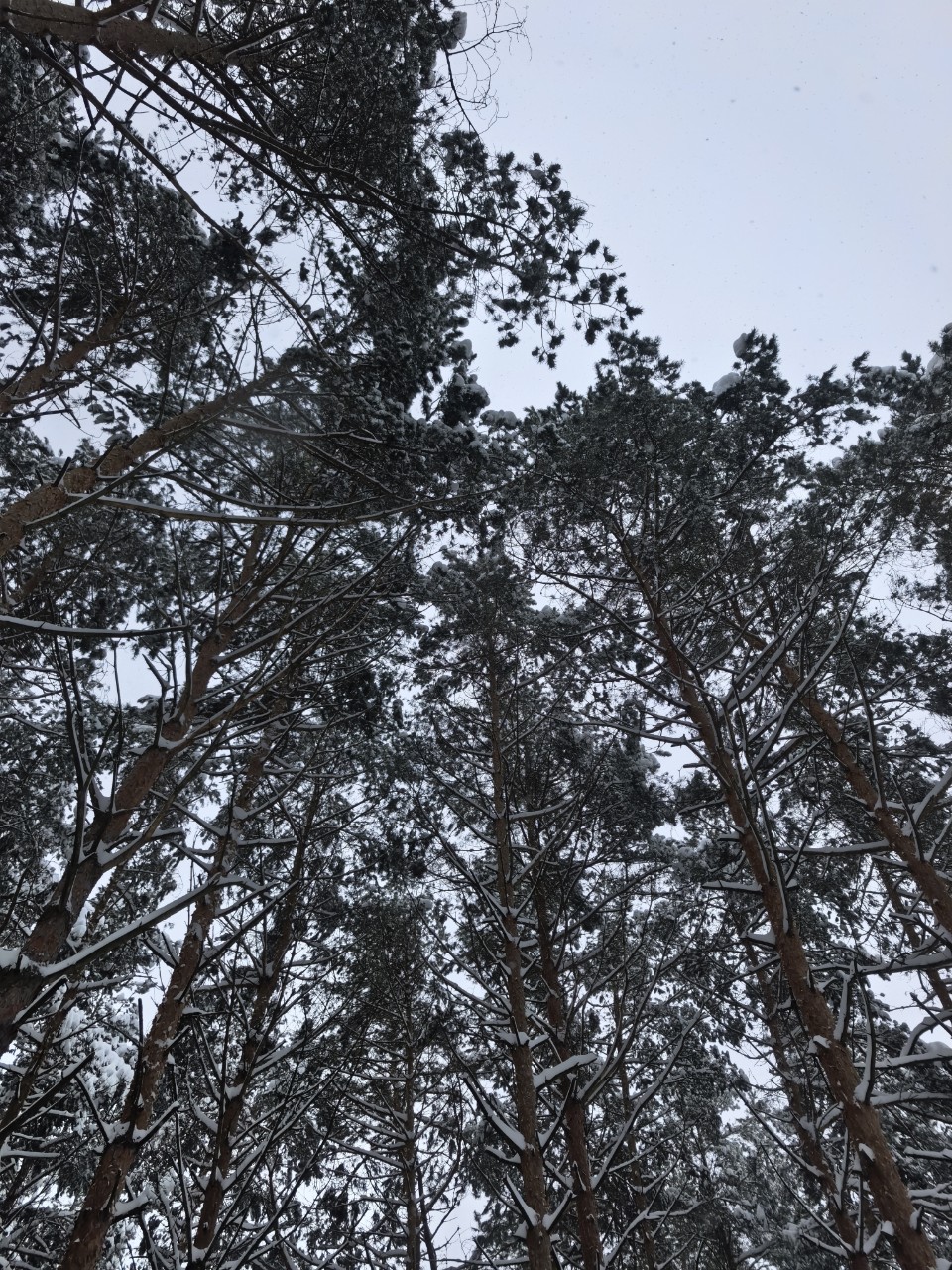 Юрий Эл в LOOKY — фото 1