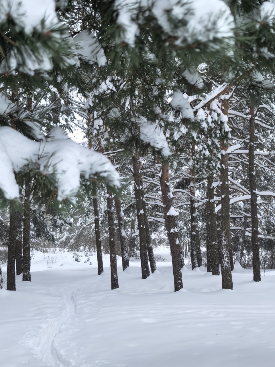 Юрий Эл в LOOKY — фото 4