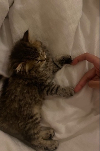 Ymenyalapki в LOOKY. . Я твоя любофффф💗🐾
...