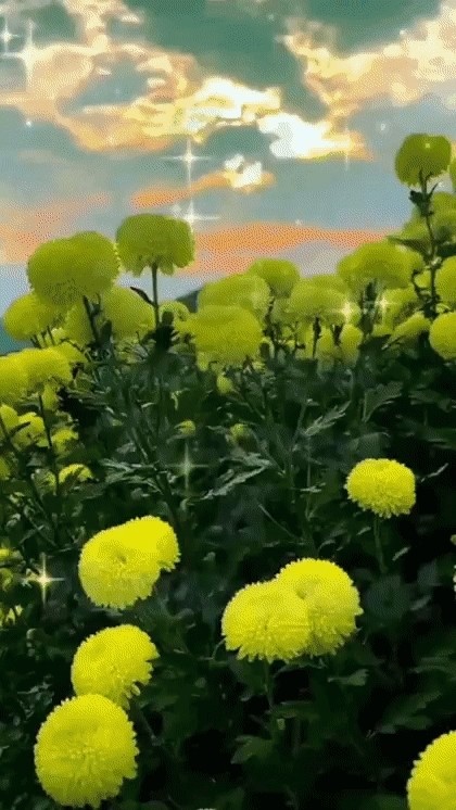 Инна в LOOKY