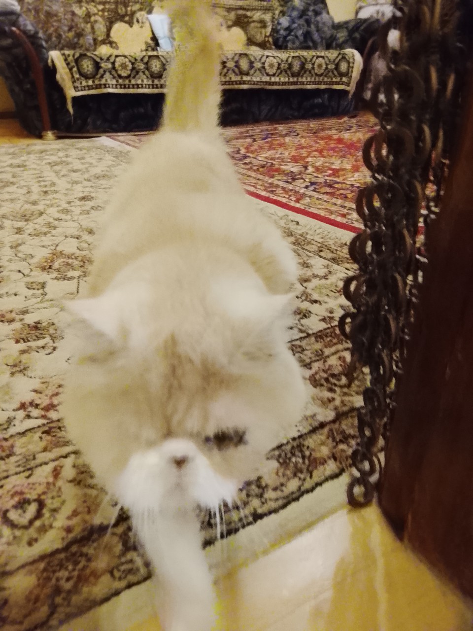 Евгений в LOOKY — А я всё вижу