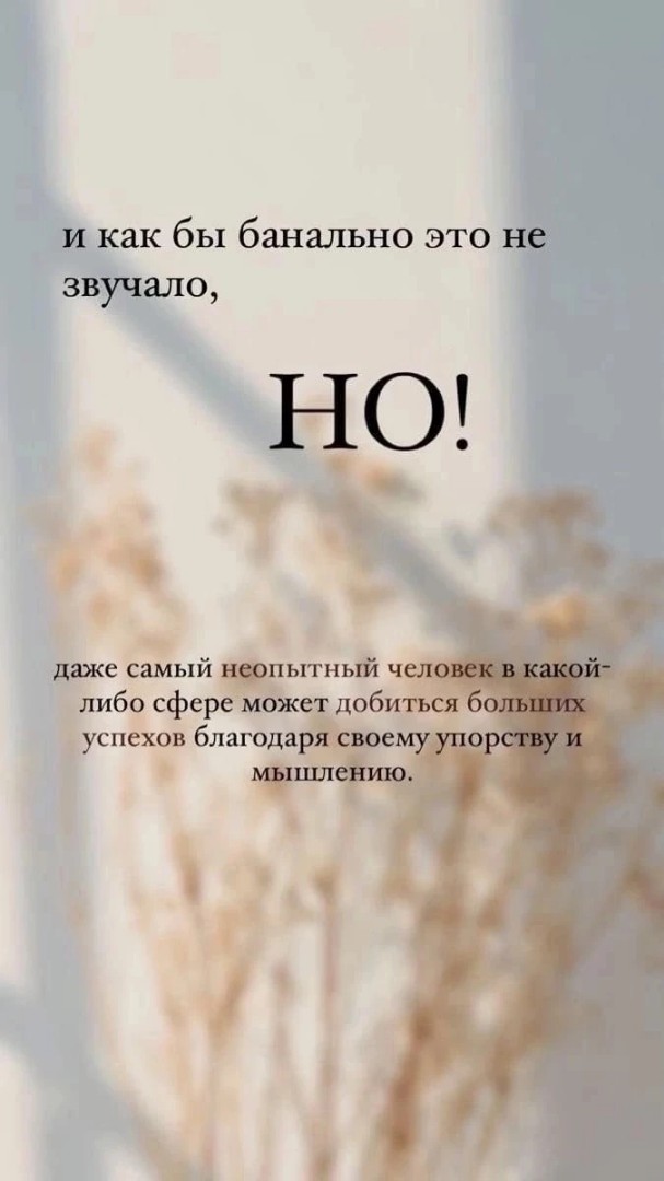 Ирина в LOOKY — СУТЬ БИЗНЕСА 

В компании NL international есть 2 направлени