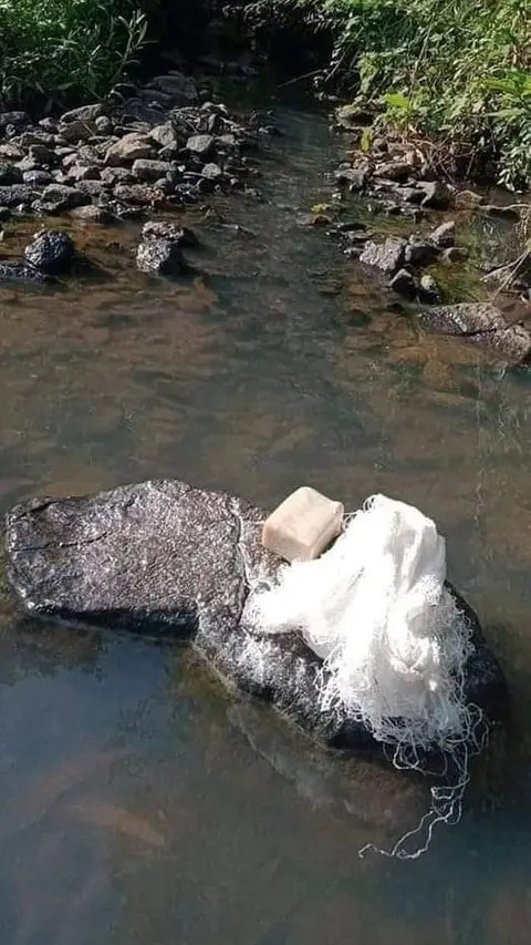 It's time for Shower 🚿🚿 by the river