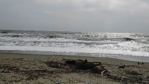 Looky_1669377008831 в LOOKY. #море. #море