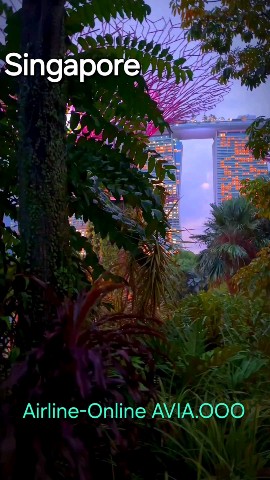 ooo_avia в LOOKY. #singapore. Singapore 🇸🇬 🇸🇬 ...